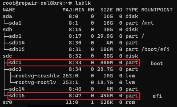 Screenshot shows the boot and efi partitions.