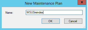 Screenshot of the typed name for your WSUS maintenance plan.