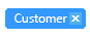Selected tag with Close (×) glyph on hover