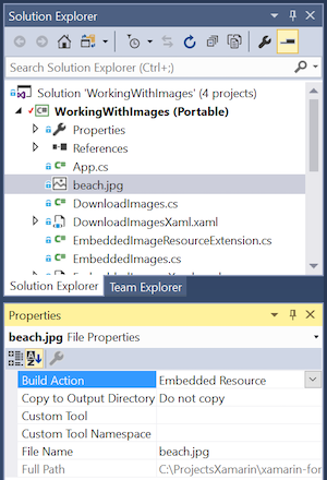 Set build action to embedded resource