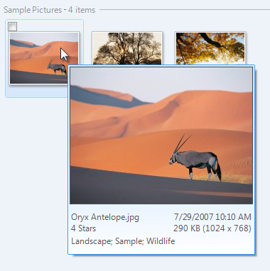 screen shot of thumbnail of photo and its data