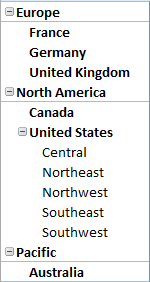 PivotTable with ragged hierarchy called out PivotTable with ragged hierarchy called out