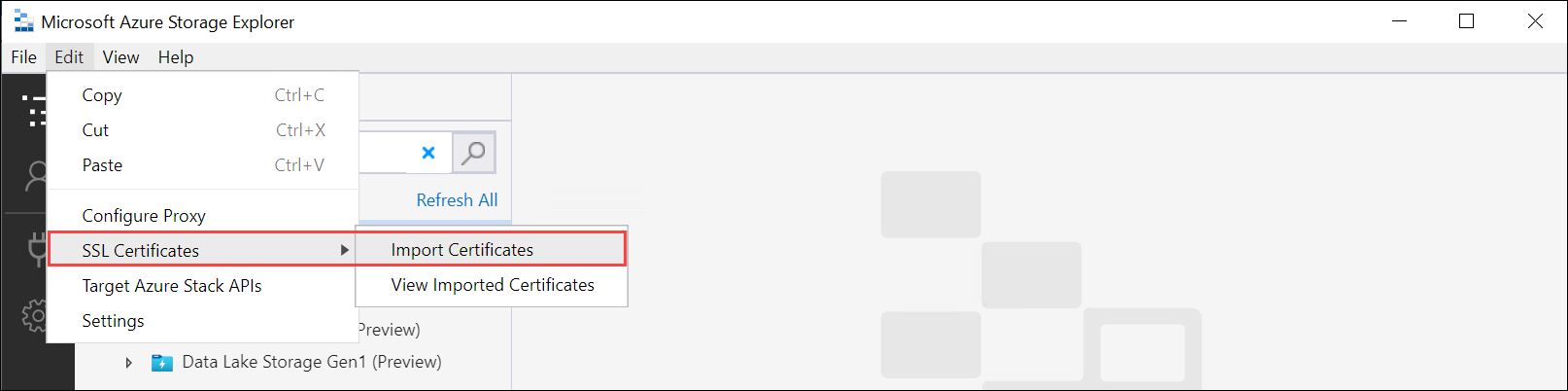 Import blob storage endpoint certificate