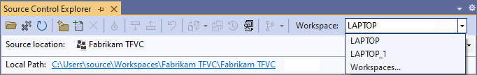 Screenshot showing Workspaces in Source Control Explorer.