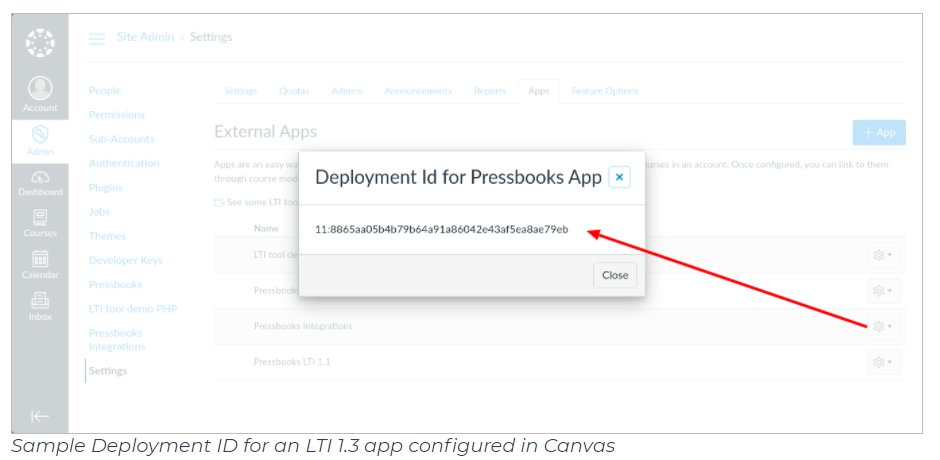 Canvas Config Type