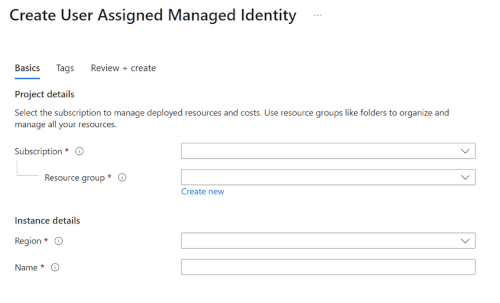 Screenshot of the User Assigned Managed Identity details form with required fields.