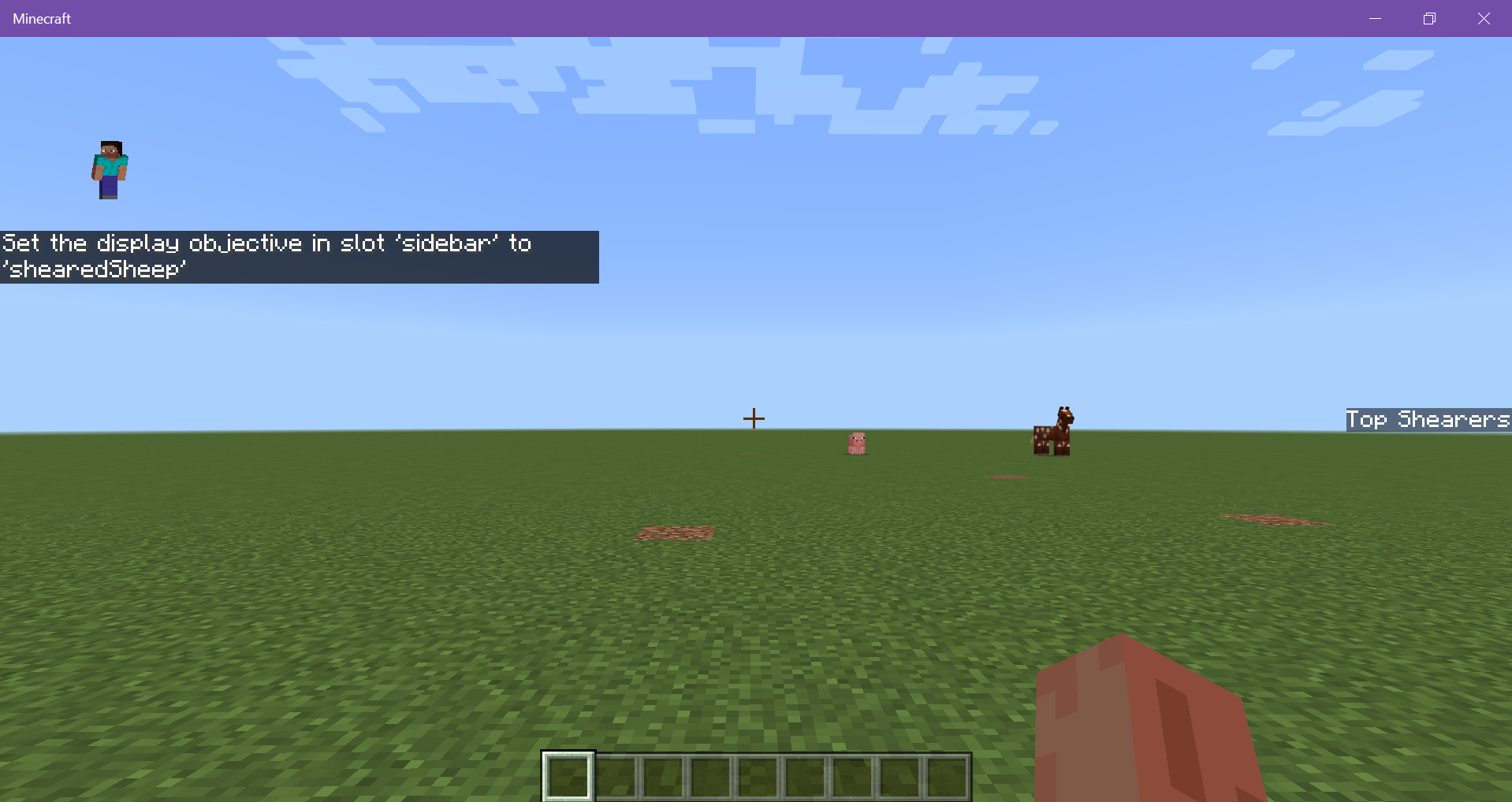 Image of a scoreboard objective successfully displayed in a sidebar