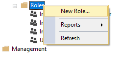 A screenshot of creating a new role in Analysis Services server.