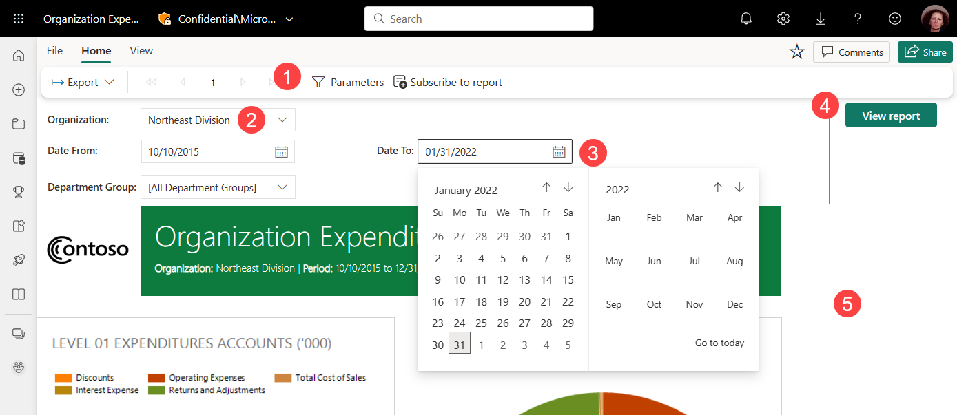 Screenshot of paginated report with parameters showing Parameters pane, Organization parameter, Date From and Date To parameters, View Report button, and default values.