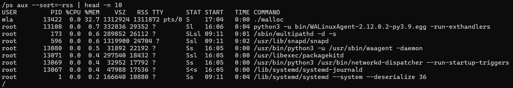 Screenshot of ps aux output.