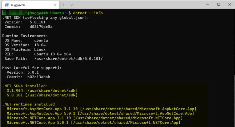 Screenshot of dotnet info command.