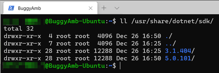 Screenshot of ll sdk command.