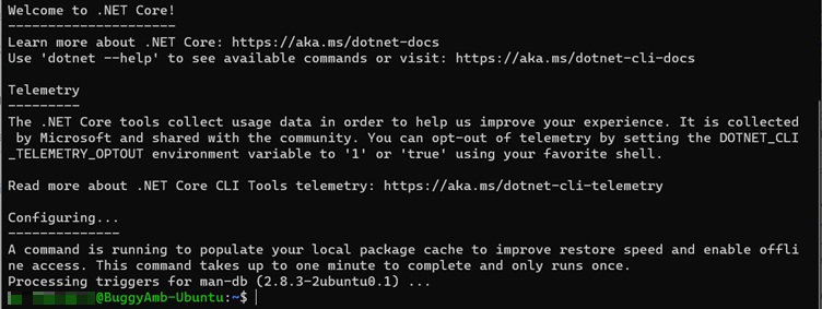 Screenshot of the package manager downloads and installs both .NET Core and ASP.NET Core runtimes and SDKs.
