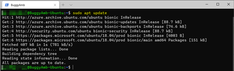 Screenshot of sudo apt update command.