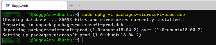 Screenshot of sudo dpkg command.