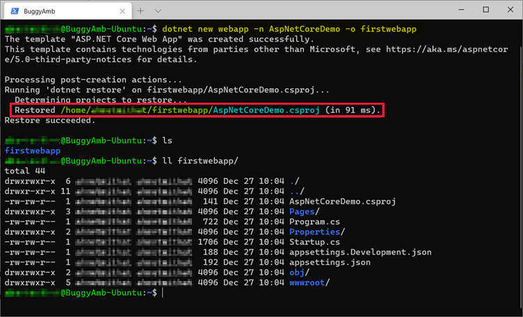 Screenshot of dotnet new command for first webapp.