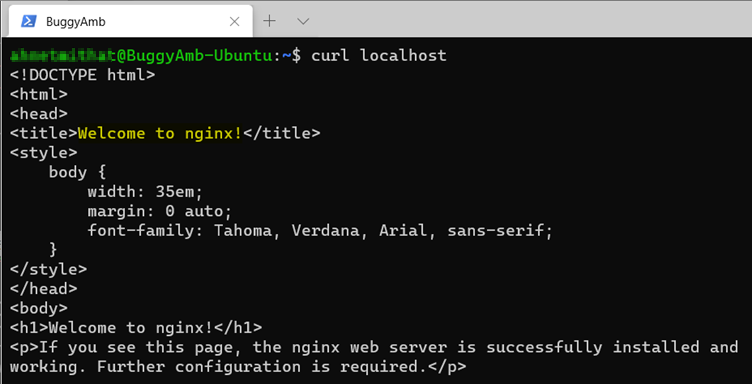 Screenshot of curl command.