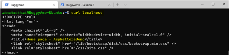 Screenshot of curllocalhost command.