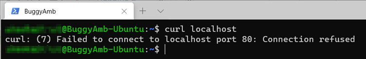 Screenshot of BuggyAmb localhost.