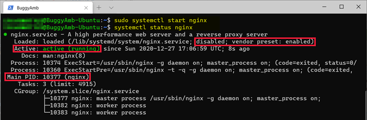 Screenshot of start command.