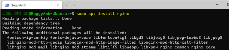 Screenshot of sudo command.