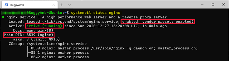 Screenshot of systemctl command.