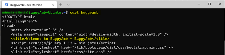 Screenshot of curl buggyamb command.