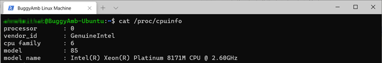 Screenshot of cat cpuinfo command.