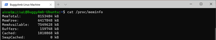 Screenshot of cat meminfo command.