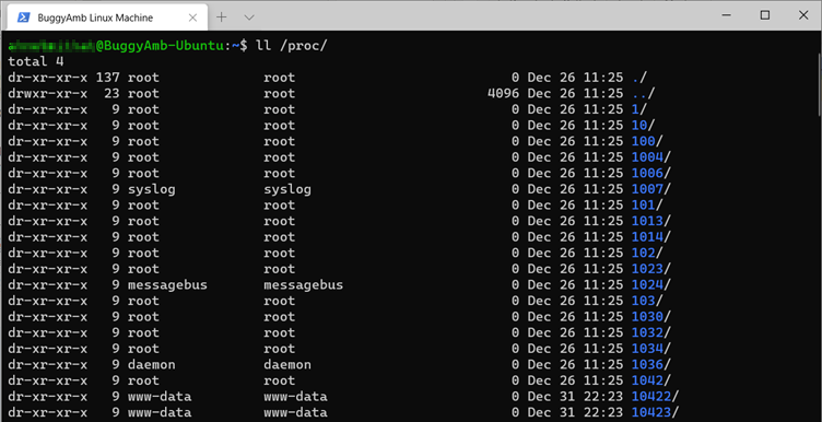 Screenshot of ll proc command.