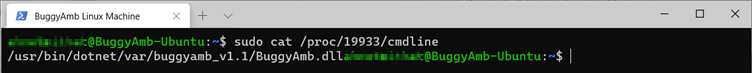 Screenshot of sudo cat command.