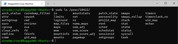 Screenshot of sudo command.