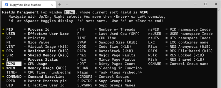 Screenshot of columns information.