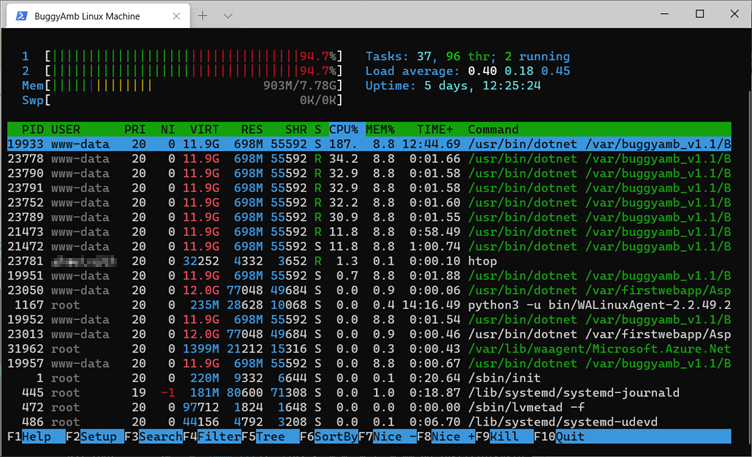 Screenshot of kill htop command.
