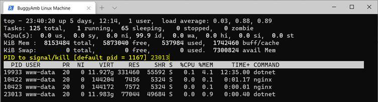 Screenshot of kill command.