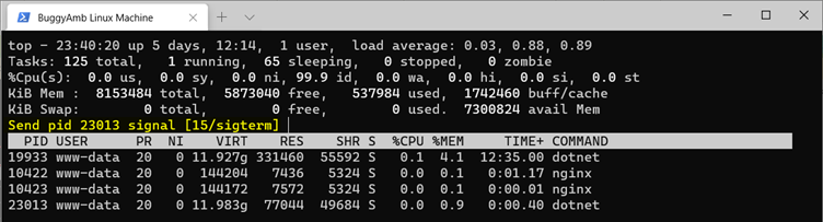 Screenshot of kill top command.