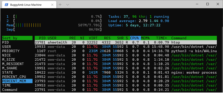 Screenshot of memory usage.