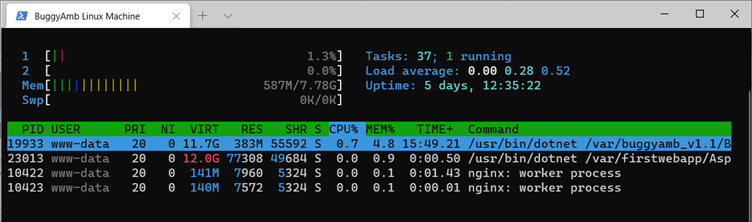 Screenshot of process information.