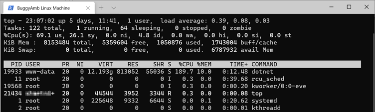 Screenshot of top command.