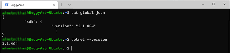 Screenshot of cat json command.