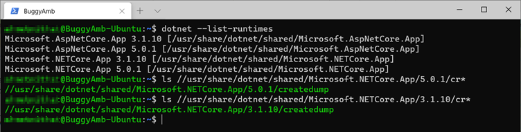 Screenshot of dotnet command.