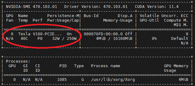 NVIDIA driver output