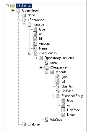 BTS_SF_QueryResult Schema for query response from Salesforce
