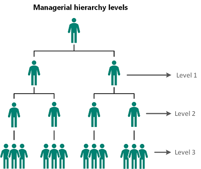 Understand managerial hierarchy levels Understand managerial hierarchy levels