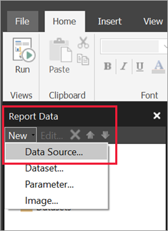 Screenshot of New Data Source in the Report Data pane.