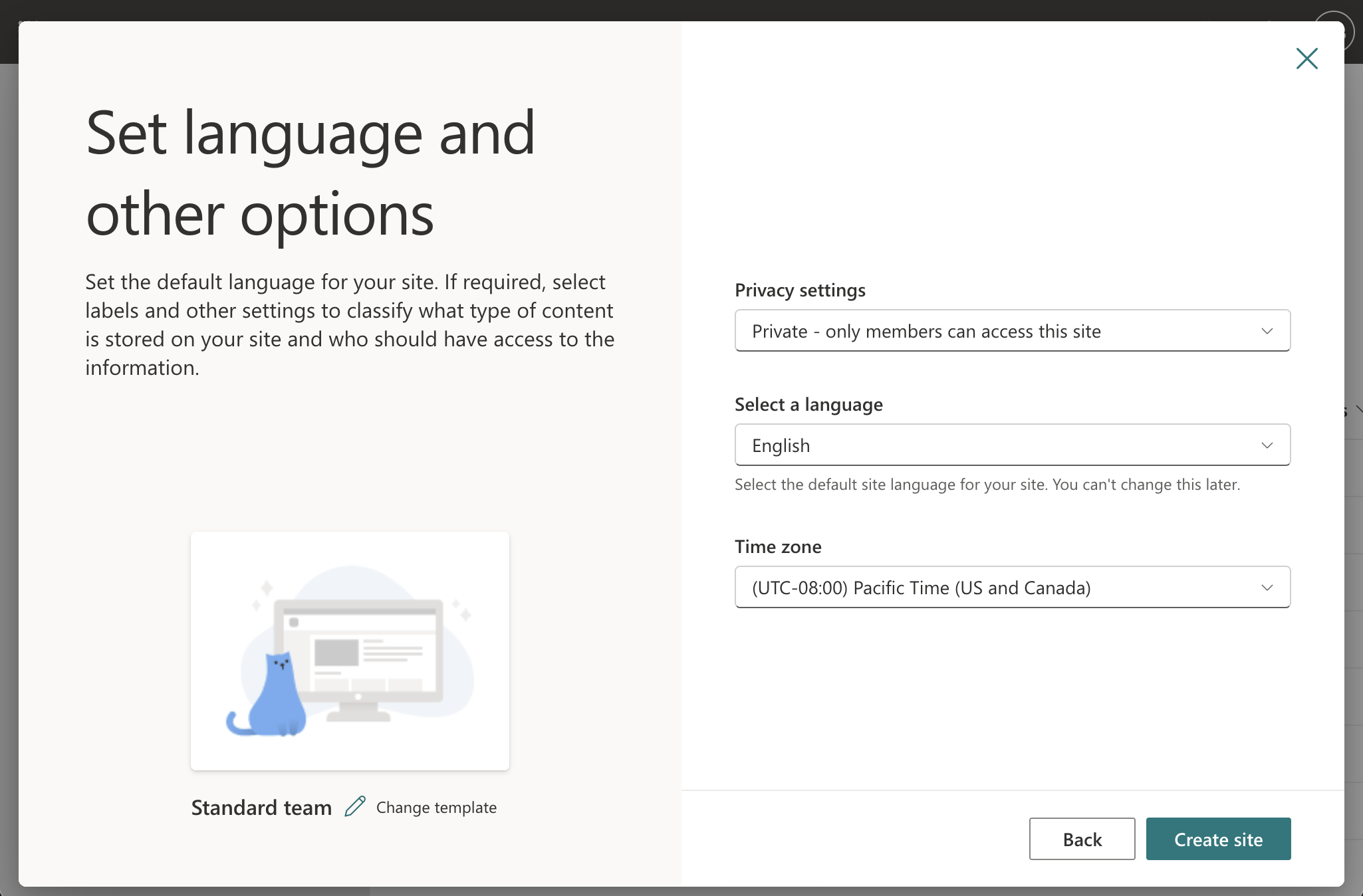 Screenshot of the Set language and other options panel.