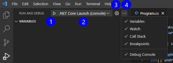Screenshot showing the Controls panel for the Run and Debug view.