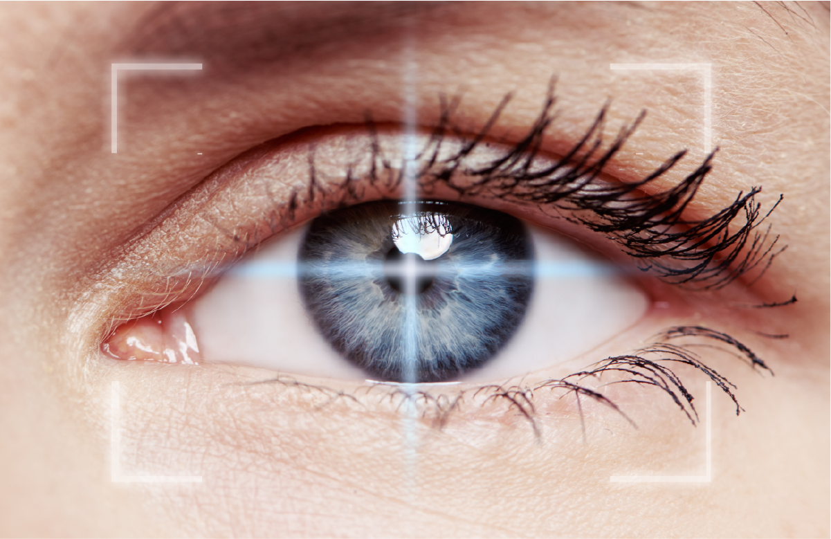 Diagram showing an eyeball.