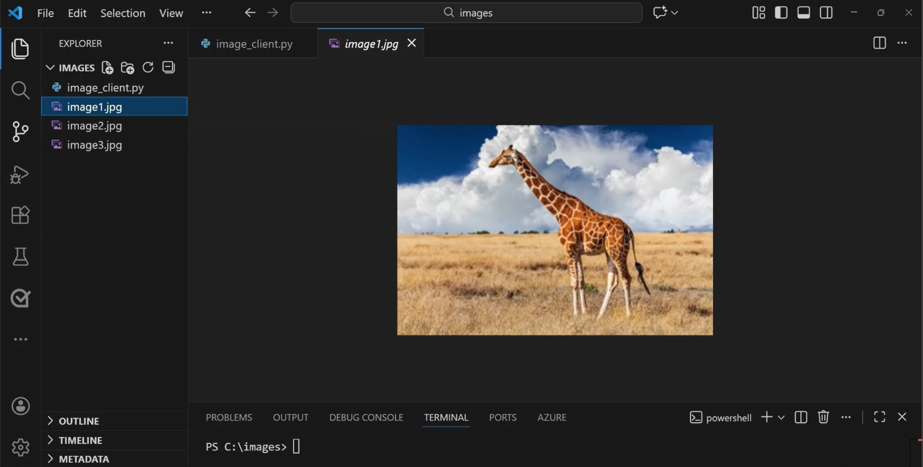 Screenshot of the image used for image analysis.