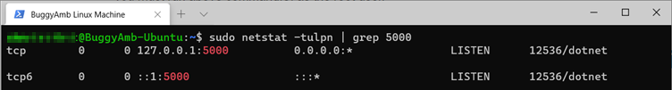 Screenshot of sudo netstat command.